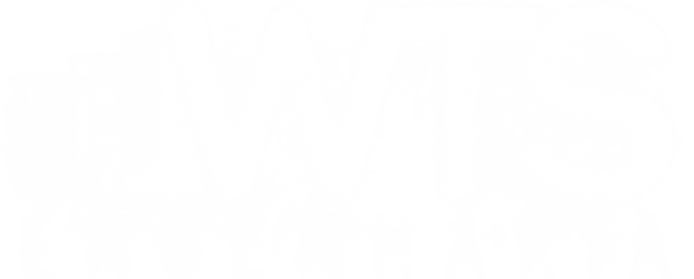WTS Engenharia